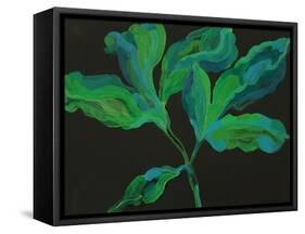 Paeonia 3-Deborah Barton-Framed Stretched Canvas