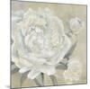 Paeonia II-Jettie Roseboom-Mounted Art Print