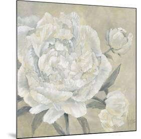 Paeonia II-Jettie Roseboom-Mounted Art Print