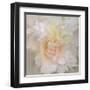 Paeonia-Rebecca Swanson-Framed Art Print