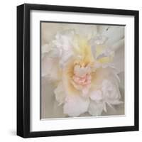 Paeonia-Rebecca Swanson-Framed Art Print