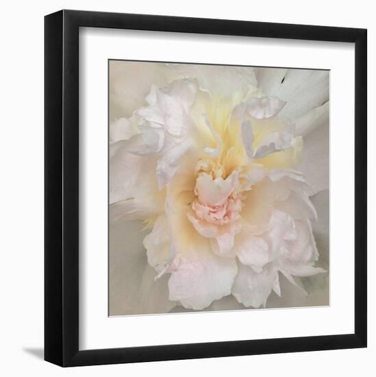 Paeonia-Rebecca Swanson-Framed Art Print