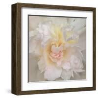 Paeonia-Rebecca Swanson-Framed Art Print