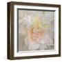 Paeonia-Rebecca Swanson-Framed Art Print