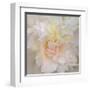 Paeonia-Rebecca Swanson-Framed Art Print