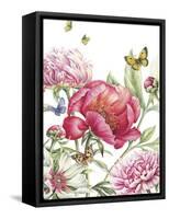 Paeonia-Janneke Brinkman-Salentijn-Framed Stretched Canvas