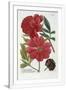 Gramercy White