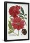 Essential Black