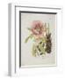 Paeonie-Ferdinand Bernhard Vietz-Framed Giclee Print