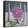 Paeony Still Life-Christopher Ryland-Framed Stretched Canvas