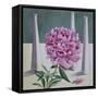 Paeony Still Life-Christopher Ryland-Framed Stretched Canvas