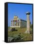Paestum, Campania, Italy-Bruno Morandi-Framed Stretched Canvas