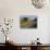 Paestum, Campania, Italy-Bruno Morandi-Photographic Print displayed on a wall