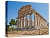 Paestum Temple - Italy-PerseoMedusa-Stretched Canvas