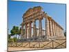 Paestum Temple - Italy-PerseoMedusa-Mounted Photographic Print