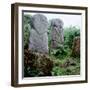 Pagan Celtic Stone Figures, Boa Island, Co.Fermanagh, Ireland, C5th Century-CM Dixon-Framed Photographic Print