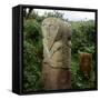 Pagan Celtic Stone Janus-Head Figure, Boa Island, Co.Fermanagh, Ireland-CM Dixon-Framed Stretched Canvas