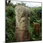 Pagan Celtic Stone Janus-Head Figure, Boa Island, Co.Fermanagh, Ireland-CM Dixon-Mounted Premium Photographic Print