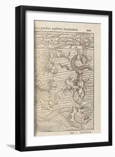 Page 1005 from 'Cosmographiae Universalis' by Sebastian Muenster, Basel, 1572-null-Framed Giclee Print
