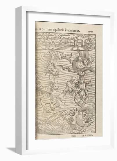 Page 1005 from 'Cosmographiae Universalis' by Sebastian Muenster, Basel, 1572-null-Framed Giclee Print