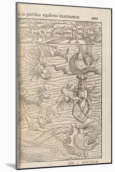 Page 1005 from 'Cosmographiae Universalis' by Sebastian Muenster, Basel, 1572-null-Mounted Giclee Print