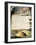 Page 39 of 'Jerusalem' by William Blake-William Blake-Framed Giclee Print