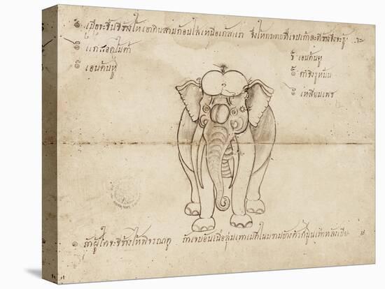 Page from a Manuscript on Elephant Training, Early 20th Century-null-Stretched Canvas