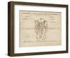 Page from a Manuscript on Elephant Training, Early 20th Century-null-Framed Giclee Print