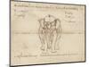 Page from a Manuscript on Elephant Training, Early 20th Century-null-Mounted Giclee Print