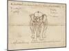 Page from a Manuscript on Elephant Training, Early 20th Century-null-Mounted Giclee Print