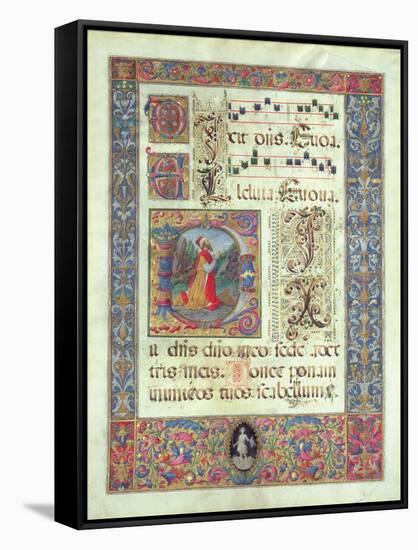 Page from a Manuscript with a Historiated Initial 'D' Depicting King David, C.1480 (Vellum)-Giuliano Amadei-Framed Stretched Canvas