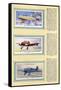 Page from an Album of Aeroplanes (Civil) for Cigarette Cards-null-Framed Stretched Canvas