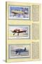 Page from an Album of Aeroplanes (Civil) for Cigarette Cards-null-Stretched Canvas