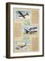 Page from an Album of International Air Liners for Cigarette Cards-null-Framed Art Print
