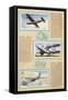Page from an Album of International Air Liners for Cigarette Cards-null-Framed Stretched Canvas