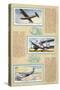 Page from an Album of International Air Liners for Cigarette Cards-null-Stretched Canvas