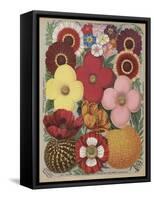 Page from Flower Catalogue-null-Framed Stretched Canvas