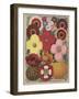 Page from Flower Catalogue-null-Framed Giclee Print