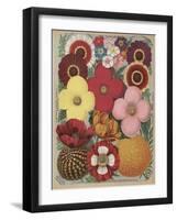 Page from Flower Catalogue-null-Framed Giclee Print