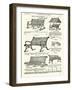 Page from the Army and Navy Catalogue, April 1902-null-Framed Giclee Print