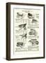 Page from the Army and Navy Catalogue, April 1902-null-Framed Giclee Print