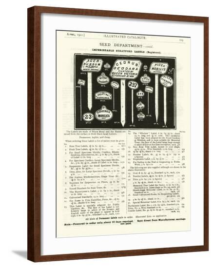 Page from the Army and Navy Catalogue, April 1902--Framed Giclee Print