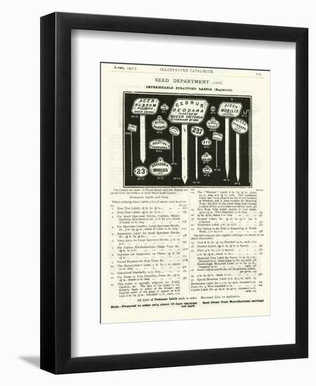 Page from the Army and Navy Catalogue, April 1902-null-Framed Giclee Print