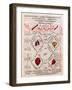 Page from the "Canon of Medicine" by Avicenna-null-Framed Giclee Print