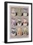 Page from the Catalogue of the Grand Depot De Porcelaines, Faiences Et Verreries-null-Framed Premium Giclee Print