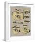 Page from the Catalogue of the Grand Depot De Porcelaines, Faiences Et Verreries-null-Framed Giclee Print