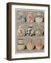 Page from the Catalogue of the Grand Depot De Porcelaines, Faiences Et Verreries-null-Framed Giclee Print