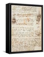 Page from the Codex Regarding the Flight of Birds-Leonardo da Vinci-Framed Stretched Canvas