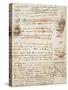 Page from the Codex Regarding the Flight of Birds-Leonardo da Vinci-Stretched Canvas