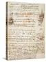 Page from the Codex Regarding the Flight of Birds-Leonardo da Vinci-Stretched Canvas